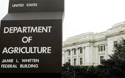 La intención quiere ser alcista, pero lo externo pesa demasiado.