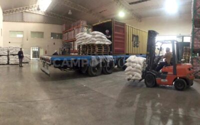Exportan por primera vez el nuevo arroz santafesino