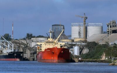 La liquidación de divisas de los agroexportadores logró un récord en junio