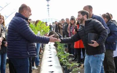 Perotti plantó cannabis y les pidió disculpas a las madres por haber «demorado tanto»