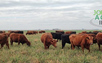 Genómica: una herramienta para mejorar la productividad