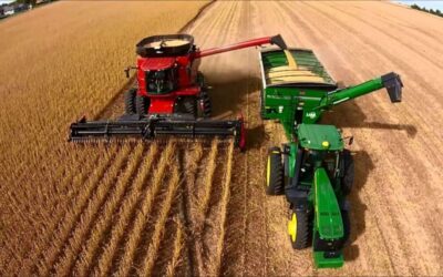 El dato que interroga al Gobierno en un año en que se proyecta récord de exportaciones del agro