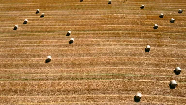 La peor sequía en 500 años está causando estragos en casi la mitad de Europa