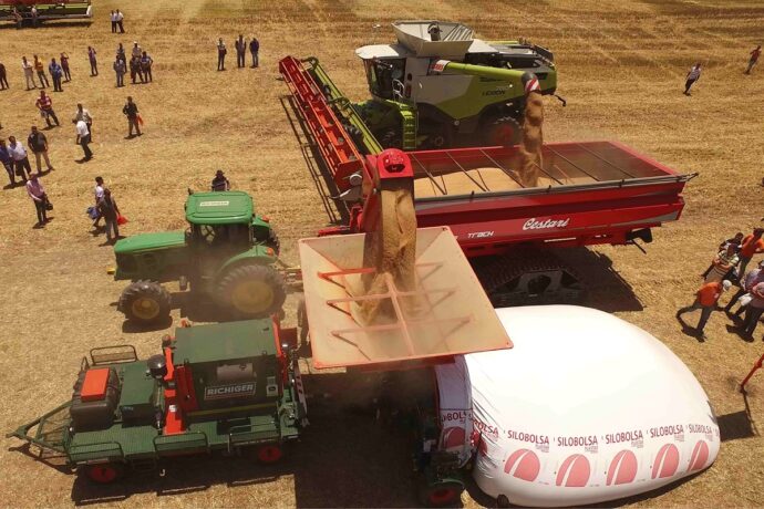 Los negocios agrofierreros millennials