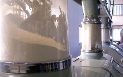 El gobierno nacional le anunció a los molinos harineros el fin del fideicomiso triguero