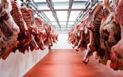 Las exportaciones de carne bovina argentina correspondientes al séptimo mes del año 2022 alcanzaron un valor de aproximadamente 322,1 millones de dólares