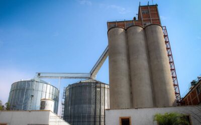 Se frena la industria molinera por la falta de granos: dura caída en la producción de aceites