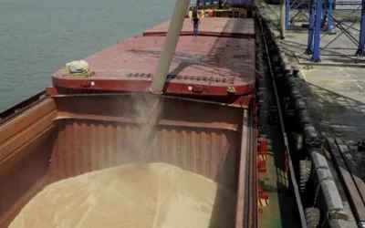 Adelanto de divisas: exportadores de granos comienzan con la liquidación anticipada