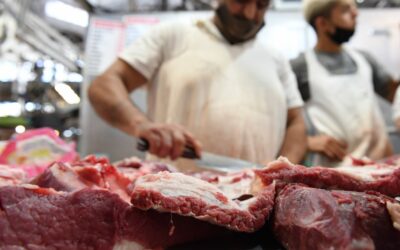 Venció el programa “Cortes Cuidados” y hay incertidumbre por su continuidad