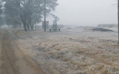 Una masa de aire polar luego de las lluvias, vuelven las heladas