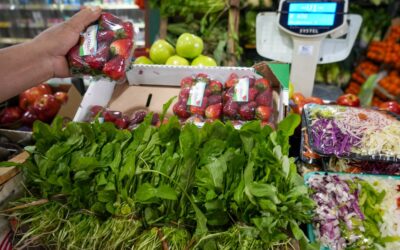 Aumentó en julio la brecha de precios entre la góndola y lo que recibió el productor