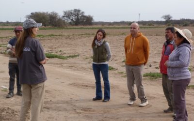 Acompañamiento a proyectos de la agricultura familiar en Villa Mercedes, San Luis
