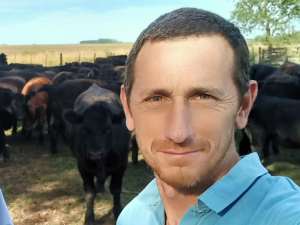 Cómo suplementar a las vacas de cría durante la seca