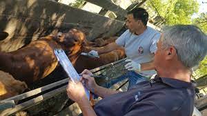 El agro fue uno de los pocos sectores que logró crear nuevos empleos durante el primer año de gobierno de Milei