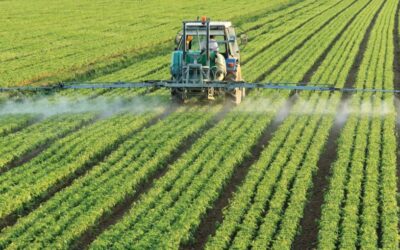 El campo no gana para disgustos: por una medida de AFIP, no hay venta de fertilizantes