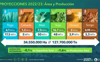 El ciclo agrícola 2022-2023 resultaría en una producción de 127,7 millones de toneladas, reflejando una caída del -1,6% en relación con la campaña anterior