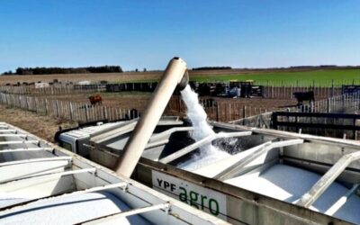 Aumentos en los precios de insumos agropecuarios y freno a las ventas tras la devaluación