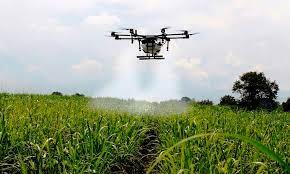 Productor y contratistas impulsados por un dron