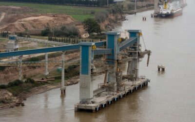 El Consejo Agroindustrial Argentino (CAA) dio a conocer Informe Mensual de Exportaciones por Complejos, octubre 2024