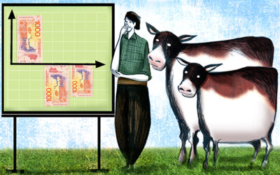 Los márgenes ganaderos, con la carne retrasada frente a la inflación