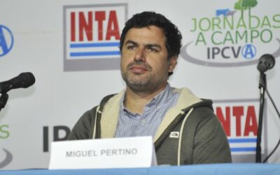 Cómo alcanzar más kilos de carne en la Cuenca del Salado