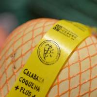 El Plan PotenciAR: una estrategia integral de generación de empleo, agregado de valor en origen y seguridad alimentaria