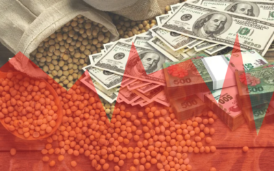 Baja de retenciones: ¿cómo impactará en los productores y la mesa de los argentinos?