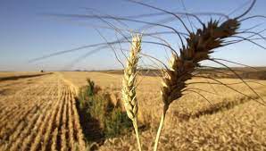 Avanza la primavera, pero las lluvias siguen solo a cuentagotas