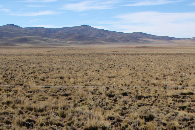 Recuperan mallines degradados en la Patagonia