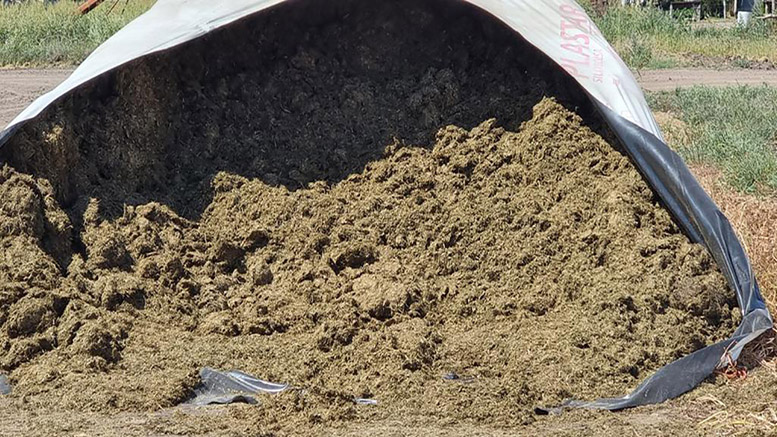 Manejo de precisión para una buena reserva forrajera