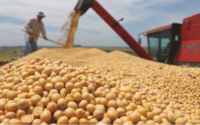 Productores vendieron más de 6,5 millones de toneladas de soja en siete ruedas