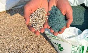 El consumo de fertilizantes en maíz y trigo caería más de un 27% en la campaña 2022/23