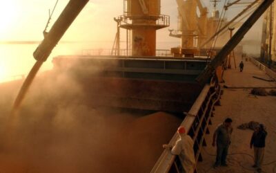 Con el impulso del «dólar soja», la agroindustria ya liquidó divisas por casi US$ 34.000 millones en lo que va del año