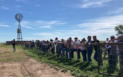 En Buenos Aires, ya hay 375 productores que cultivan 23.000 hectáreas con agroecología