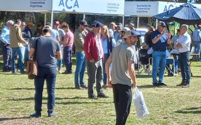 La Asociación de Cooperativas Argentinas realizó un día de campo en su renovado criadero de cereales de Cabildo