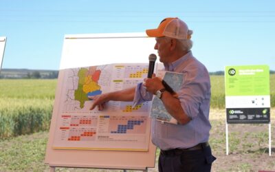 Un recorrido por las fortalezas del trigo en el sur del país