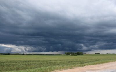 Lluvias: llega el alivio para las zonas agrícolas