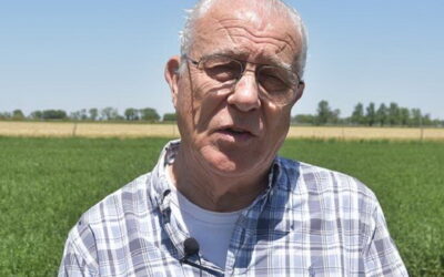 Las ventajas (para todos) de vender la leche de manera asociada