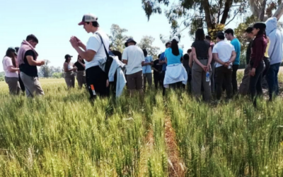 Excelencia académica para el desarrollo agropecuario