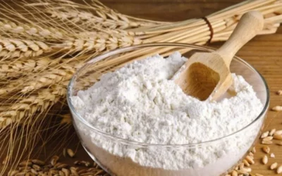 Las exportaciones de harina de trigo como primer paso para seguir agregando valor en la cadena triguera