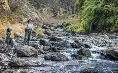 Destacan que la ampliación del Parque Aconquija da «mayor protección al ecosistema»
