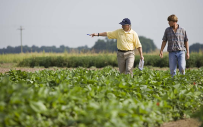 Perspectivas de la campaña 2022/23 en la región Sudamericana según el USDA
