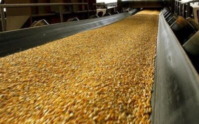 Con fuertes críticas al “dólar agro”, la Bolsa de Rosario remató el primer lote de soja 2022/23