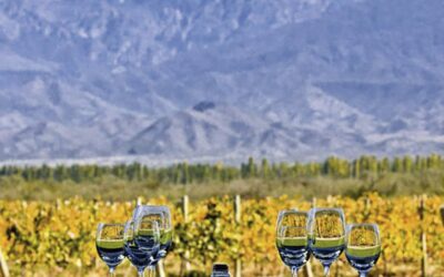 Radiografía del turismo del vino: 320 bodegas en 14 provincias abren sus puertas a los visitantes