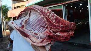 El verdadero problema es la informalidad en la cadena de la carne bovina