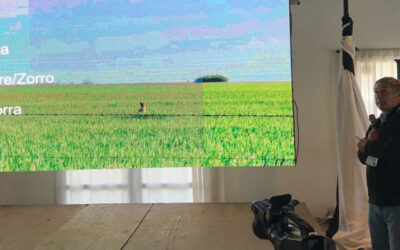 El sorprendente pedido de un productor a sus colegas: “Cuando vean un puma, no lo maten”, reclamó Juan Balbín