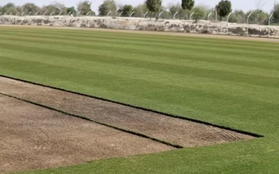 Los secretos de manejo del césped de Qatar 2022: aire frío, 10.000 litros de agua diarios por cancha y una reserva de 425.000 m²