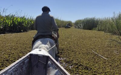 Llega la Hora del Planeta 2023: 60 minutos de unidad global por el único hogar que tenemos