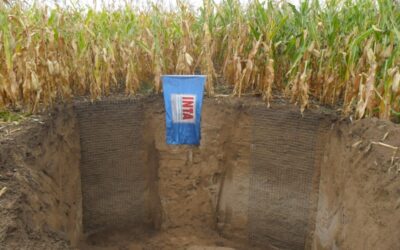 Desarrollan mapas sobre la cantidad de agua que puede retener el suelo