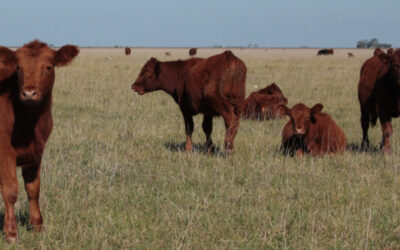 Tenacidad y esperanza